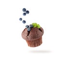 Fresh baked single chocolate muffin with blueberry berries and mint leaves flying on white background. Sweet cupcake falling Royalty Free Stock Photo