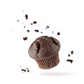 Fresh baked single chocolate muffin with crumbs flying on white background. Sweet dark cupcake falling Royalty Free Stock Photo