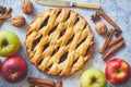 Fresh baked tasty homemade apple pie cake with ingredients on side Royalty Free Stock Photo