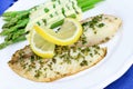 Fresh baked Tilapia fish dinner. Royalty Free Stock Photo