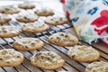 Fresh baked warm chocolate chip cookies cooling on wire racks