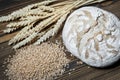 Fresh baked wheat bread loaf, a handful of wheat grain and wheat ears on a dark brown wooden background. Royalty Free Stock Photo