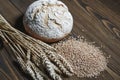 Fresh baked wheat bread loaf, a handful of wheat grain and wheat ears on a dark brown wooden background. Royalty Free Stock Photo