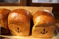 Fresh baked whole bread in japanese bakery Royalty Free Stock Photo