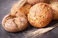 Fresh baked rolls with seeds and ears of rye or wheat grain Royalty Free Stock Photo