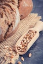 Fresh baked rolls with seeds of rye or wheat grain Royalty Free Stock Photo