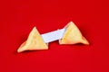 Fresh baked yellow Chinese fortune cookies with white blank note inside on red background. Royalty Free Stock Photo