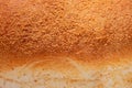 Fresh Bakery, Traditional breads and buns for background close up Royalty Free Stock Photo