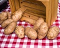 Fresh baking potatoes at the farmers market Royalty Free Stock Photo