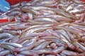 Fresh Baltic sprat. sale at the market in the red plastic box Royalty Free Stock Photo