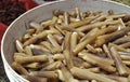 A fresh Bamboo or `Siput Pepahat`