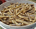 A fresh Bamboo or `Siput Pepahat`