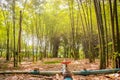 Fresh bamboo forest, green natural background Royalty Free Stock Photo