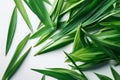 Fresh bamboo leaves on a white background, top view Royalty Free Stock Photo