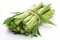 Fresh bamboo shoots on clean white backdrop for captivating visuals in ads and packaging