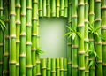Fresh Bamboo Shoots Frame A Vibrant Natural Border for Seamless Design Layouts Posters and Presentations Royalty Free Stock Photo