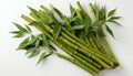 Fresh bamboo stems with vibrant green leaves on a white background