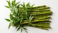 Fresh bamboo stems with vibrant green leaves on a white background