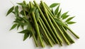 Fresh bamboo stems with vibrant green leaves on a white background