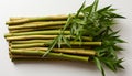 Fresh bamboo stems with vibrant green leaves on a white background