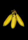 Fresh banana fruit on black background with copy space