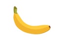Fresh banana fruit in peel. Sweet vitamin food icon. Natural tropical dessert. Whole exotic ripe banan in skin. Colored
