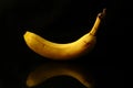 Fresh banana isolated. Ripe organic split banana on black background. Cut out with clipping path Royalty Free Stock Photo