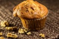 Fresh Banana Nut Muffin for Breakfast Royalty Free Stock Photo