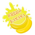 Fresh banana splash icon, logo, sticker. Fruit splashing isolated on white background. Vector illustration. Royalty Free Stock Photo