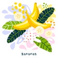 Fresh banana tropical fruits juice splash organic food ripe juicy bananas splatter on abstract background Royalty Free Stock Photo