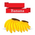 Fresh banana on white background vector