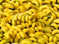 Fresh banana yellow background in the fruit market