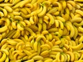 Fresh banana yellow background in the fruit market