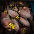 Fresh Bananas Blossom Royalty Free Stock Photo