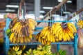 Fresh bananas at  fruit market Royalty Free Stock Photo