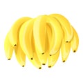 Fresh bananas icon cartoon vector. Organic food