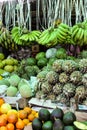 Fresh Bananas, Pineapples and other exotic Fruits Royalty Free Stock Photo