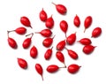 fresh barberry isolated on a white background top view