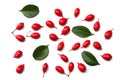 fresh barberry isolated on a white background top view