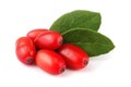 Fresh barberry with leaves on a white background