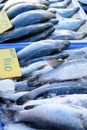 Fresh Barramundi Fish in local market Royalty Free Stock Photo