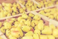 Fresh Bartlett pears on display at the farmer`s market. Selective Focus Royalty Free Stock Photo