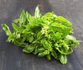 Fresh basil herb in a bunch on wooden dark board Royalty Free Stock Photo