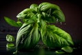 Fresh Basil herb leaves. Green seasoning plant. Close up view. Generative Ai