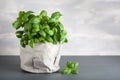 Fresh basil herb in paper pot Royalty Free Stock Photo