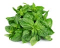 Fresh basil leaves