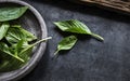 Fresh basil leaves asian herb