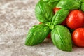 Fresh basil leaves and ripe tomatoes Royalty Free Stock Photo