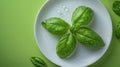 Fresh basil leaves with water droplets on a white plate Royalty Free Stock Photo