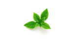 Fresh basil leaves on a white background, isolated, top view Royalty Free Stock Photo